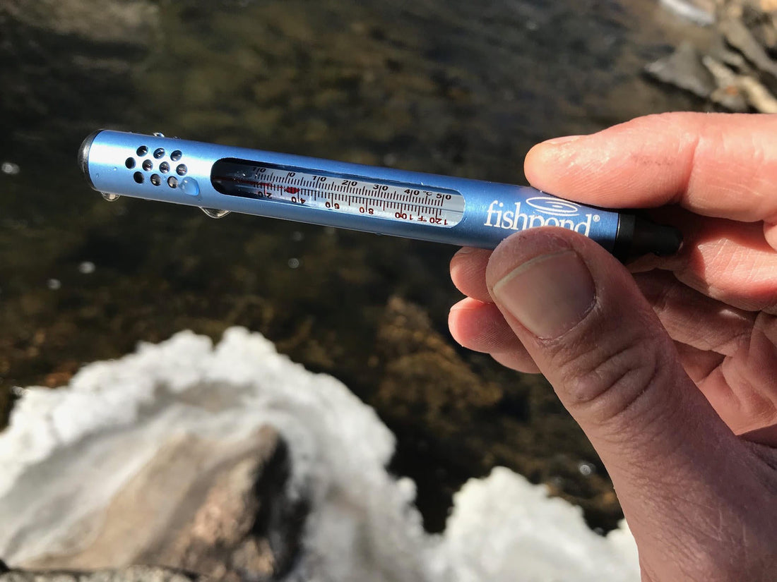 Water Temperature: The Most Important Number Most Anglers Ignore