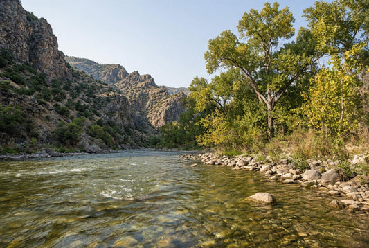 South Platte River Flows