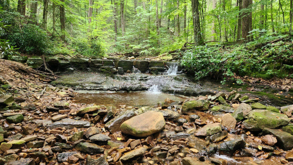 How to Read River Flows (So You Stop Guessing Where to Fish)