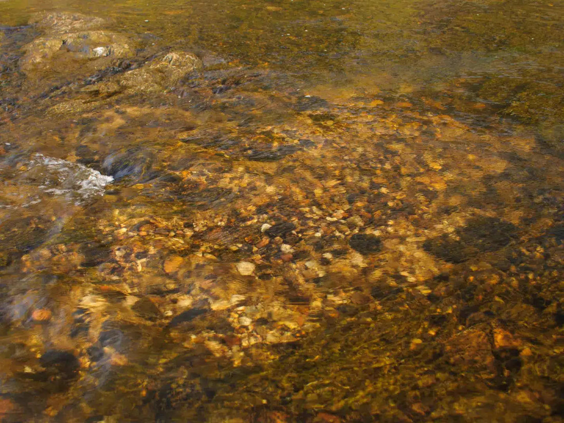Trout Spawning Seasons, Reds, and How to Fish Around Them the Right Way